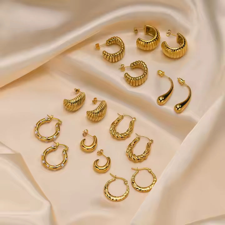 Earrings
